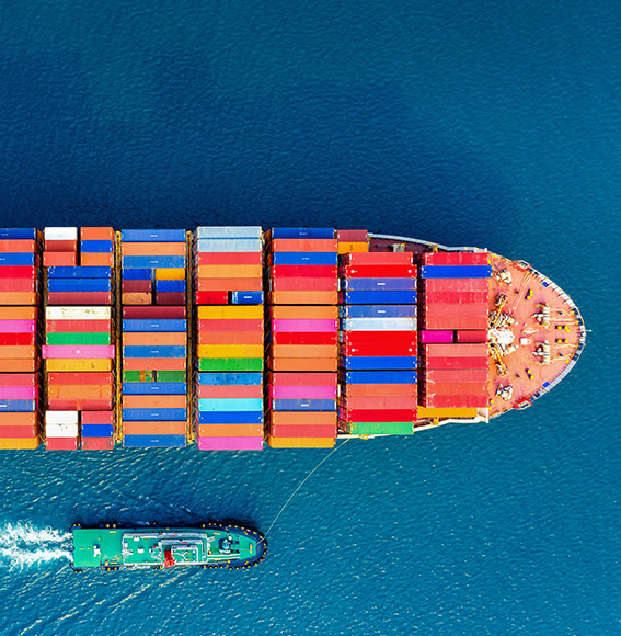 Assessoria Internacional