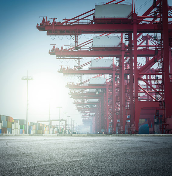 Assessoria em Trading Company